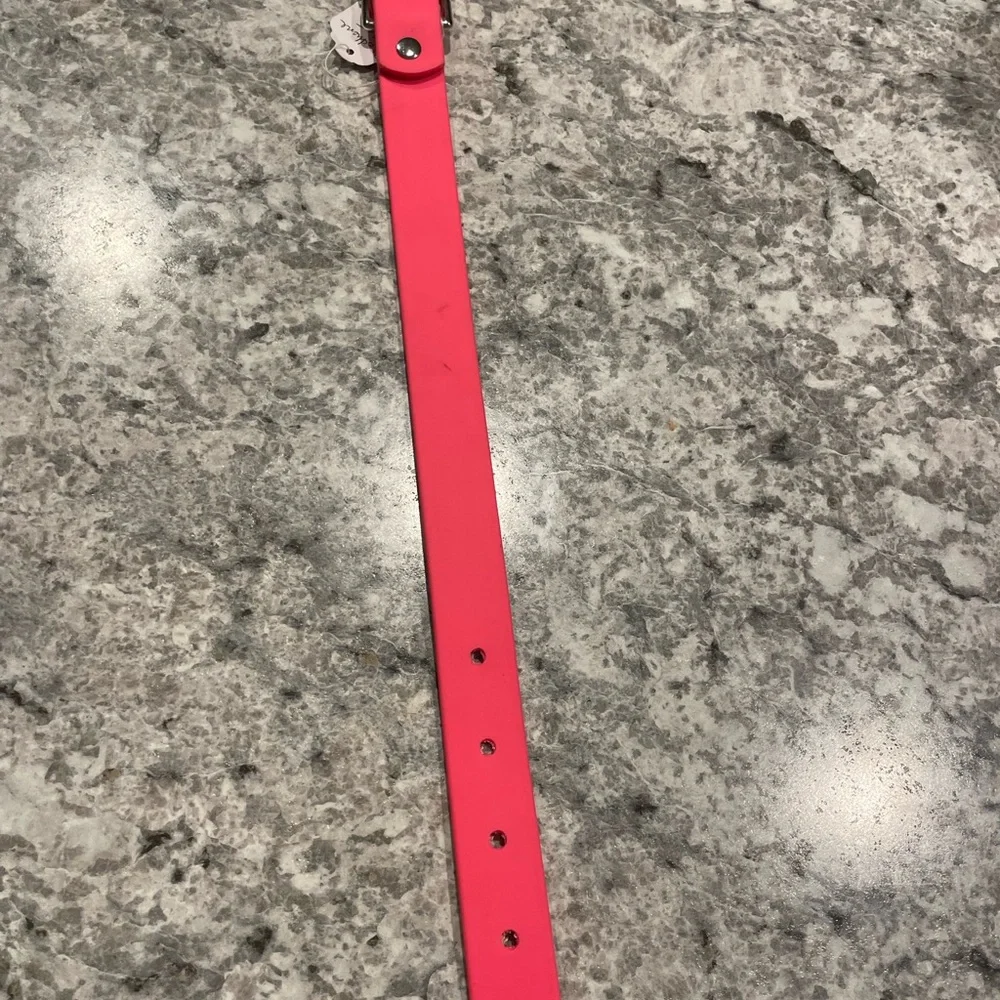 Biothane fluorescent pink dog collar with Silver Buckle size 12-15 inch New.